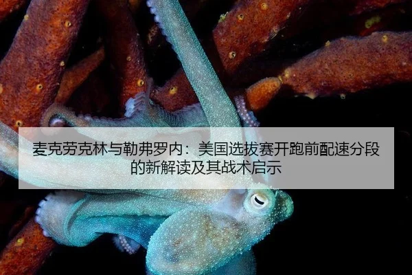 mai-ke-lao-ke-lin-yu-lei-fu-luo-nei-mei-guo-xuan-ba-sai-kai-pao-qian-pei-su-fen-duan-de-xin-jie-du-ji-qi-zhan-shu-qi-shi-2-554.jpg